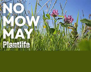 No Mow May for Estate amenity areas